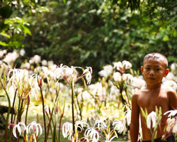 andaman coast conservation endangered species