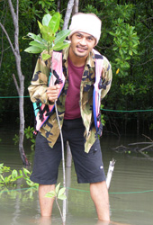 mangrove conservation
