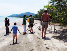southern thailand conservation mangrove planting