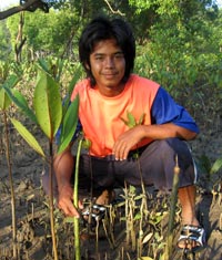 mangrove conservation