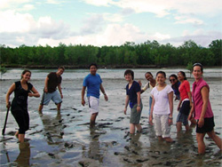 Andaman Coast conservation mangrove planting