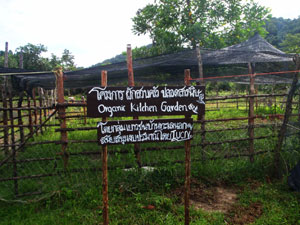 Southern Thailand community development - Organic Garden
