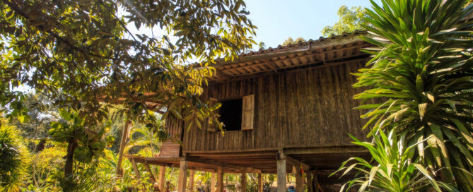 Khao Sok homestay