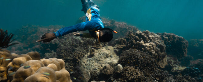 Similan Islands one day snorkel tour by Andaman Discoveries