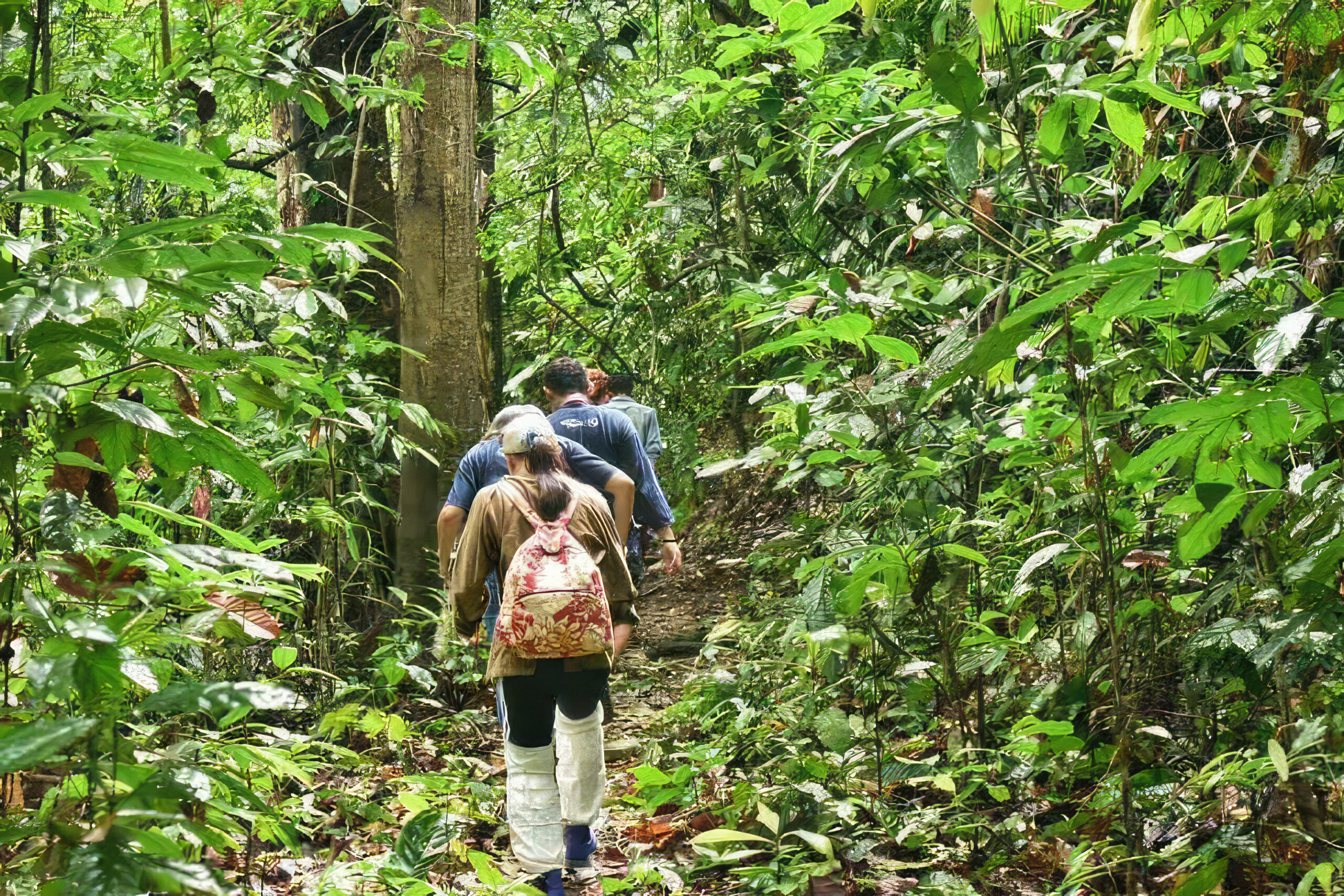 Khao Sok trekking & hiking