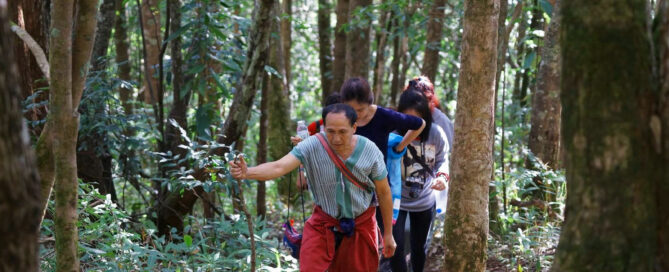 Mae Hong Son trekking